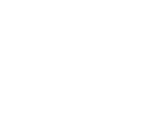 Pet Taxi